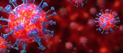 CoronaVirus News Update April 2020 CoronaVirus News Update, Coronavirus Q&A FAQS, Best CoronaVirus News Update, Coronavirus Q&A, CornaVirus Updates United States